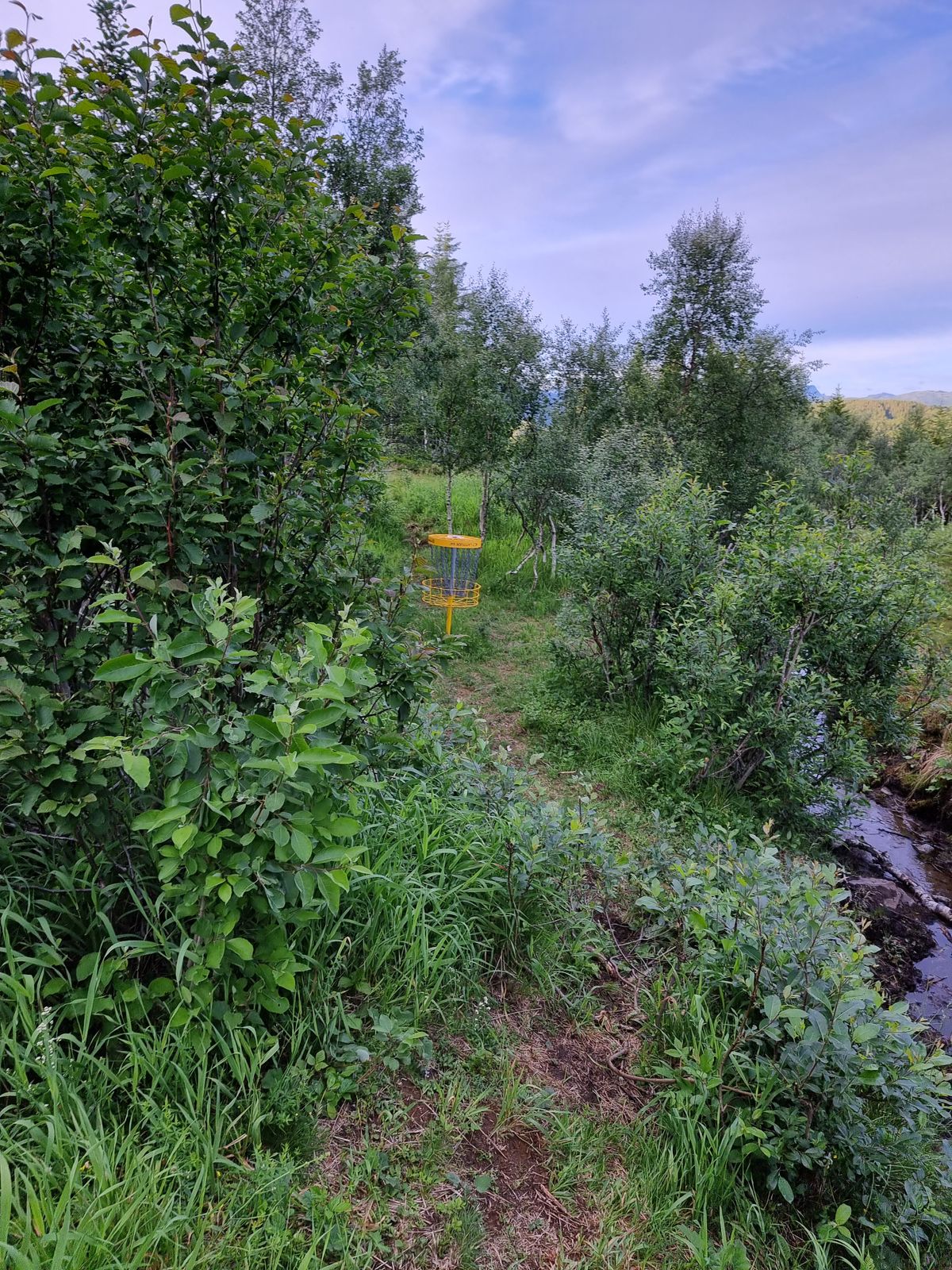 Kurv hull 12 (sett fra veien)