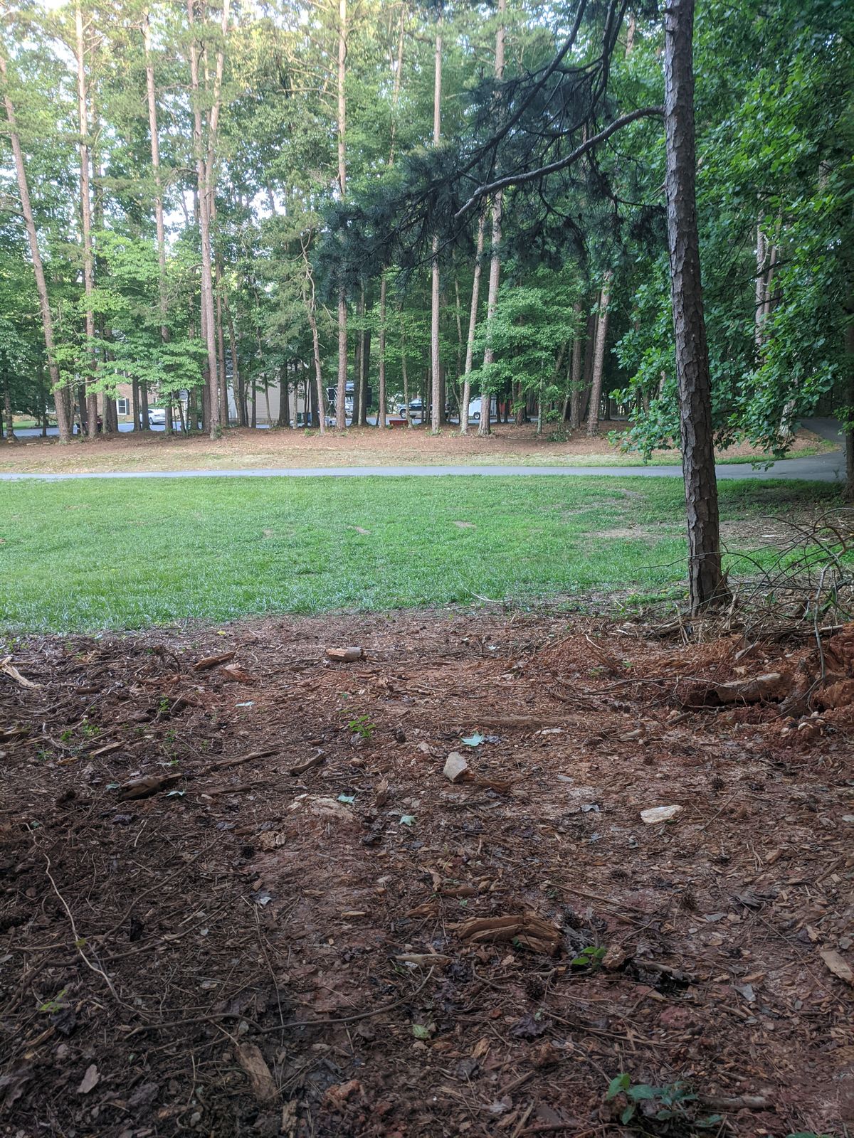 #7 view from the Tee