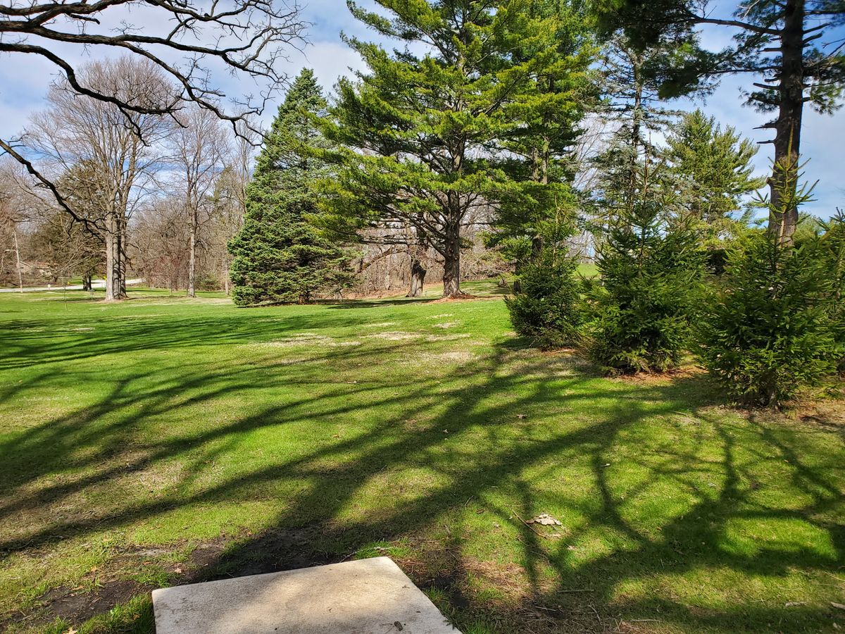 Hole 4 teepad
