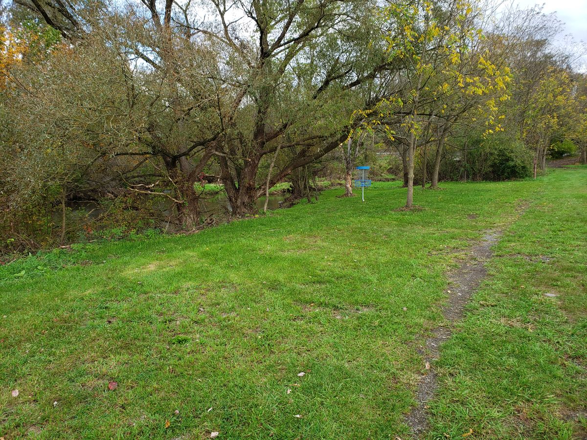 Basket 6 by creek