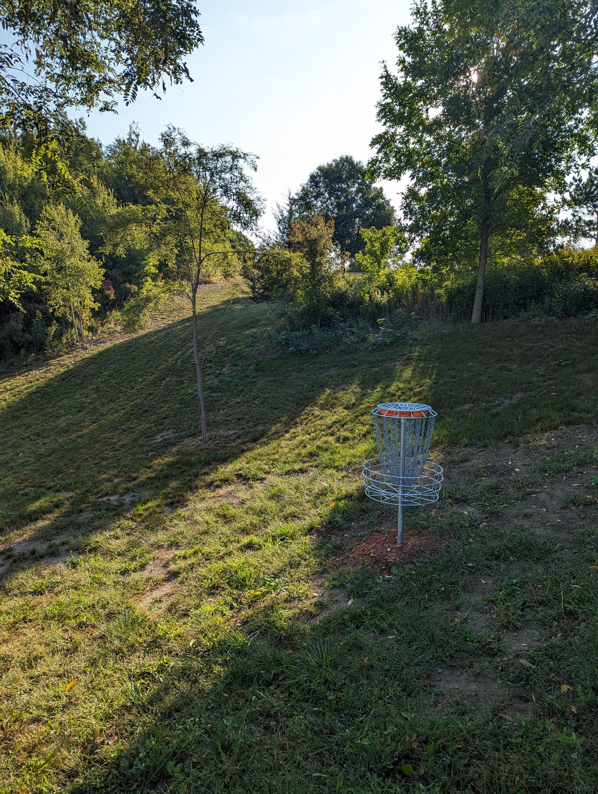 Short Basket looking back at fairway