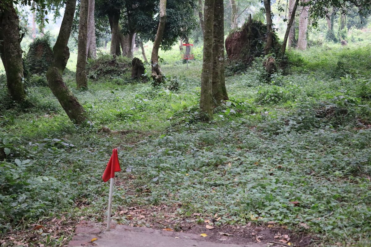 Hole 4 Short Tee