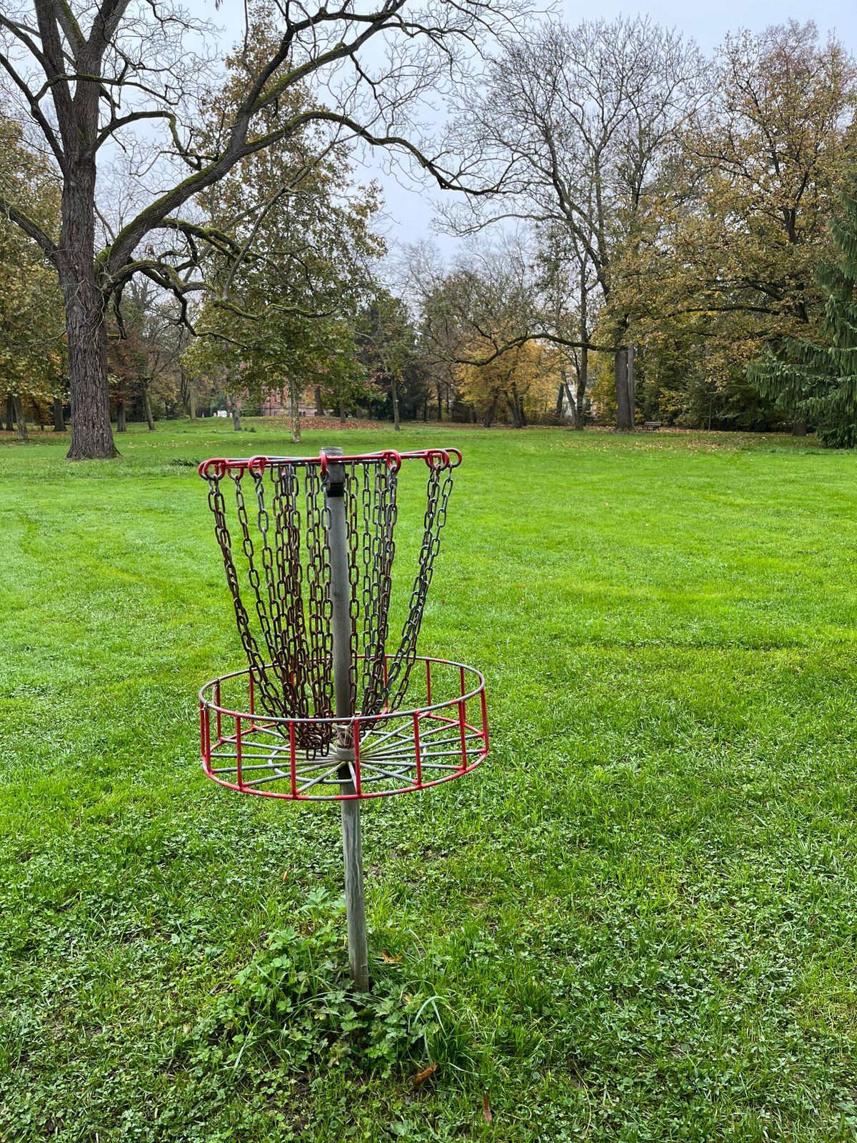 2 basket