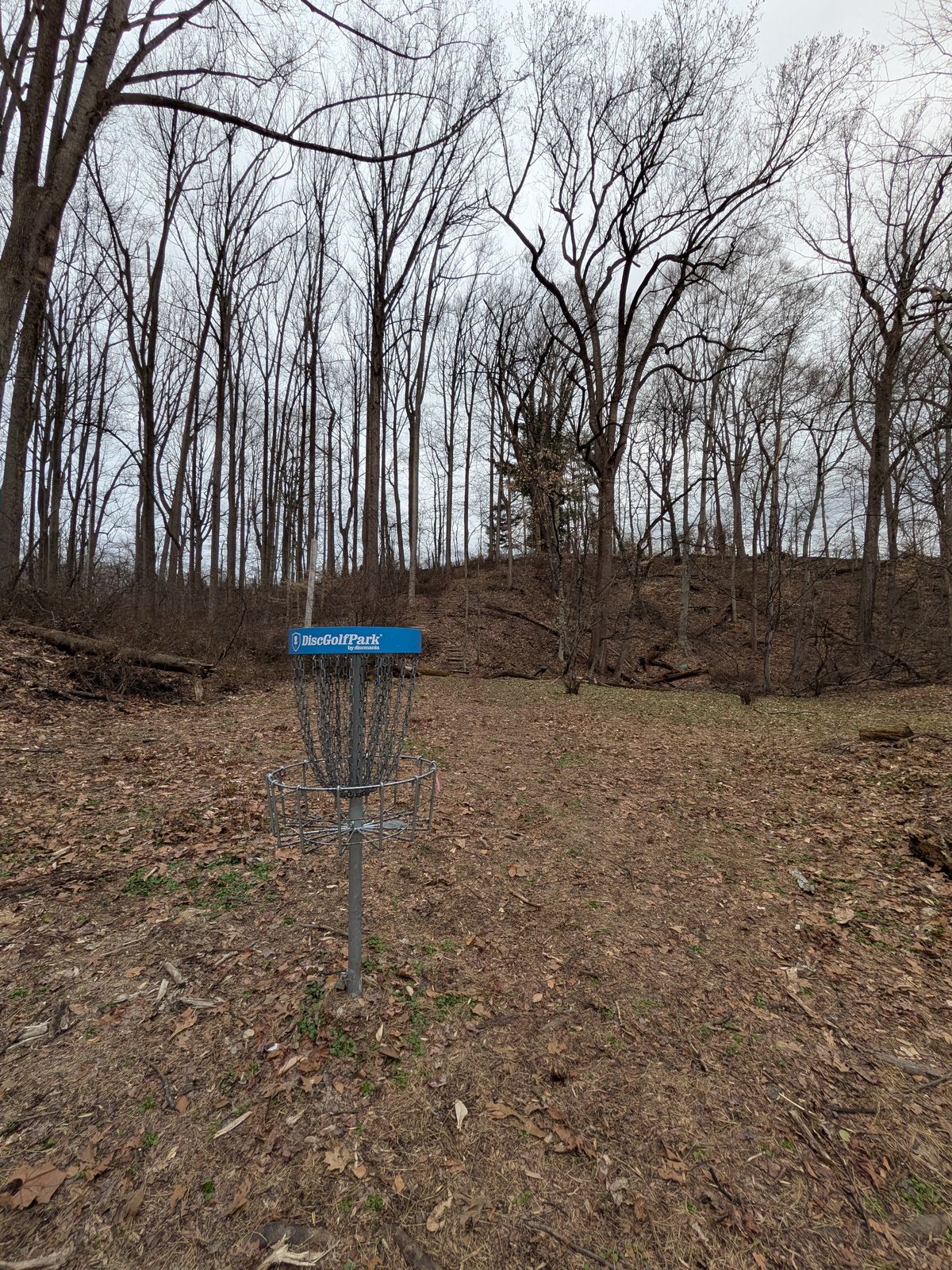 Hole 10 basket looking back up the hill to the tee