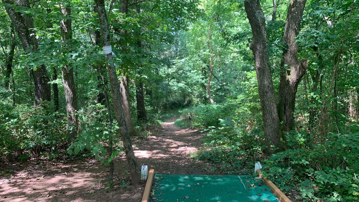 Hole 7