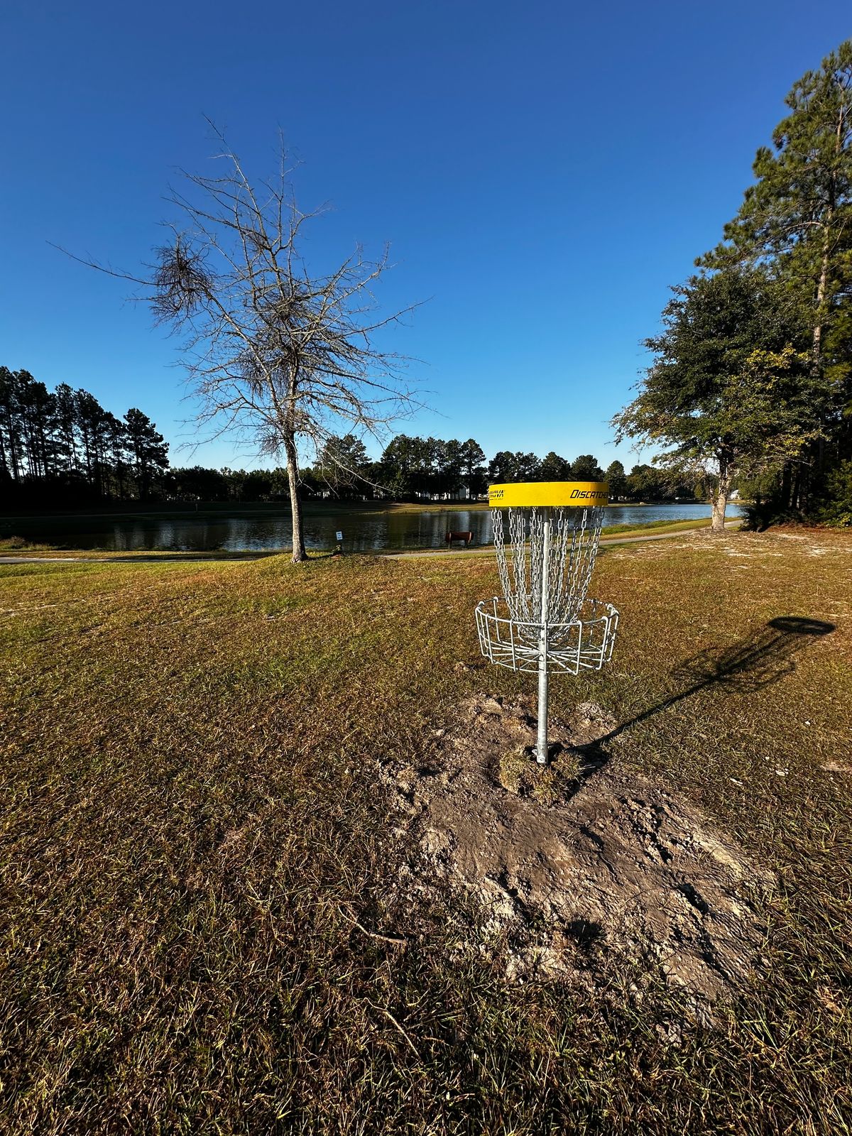 Hole 13 Basket View