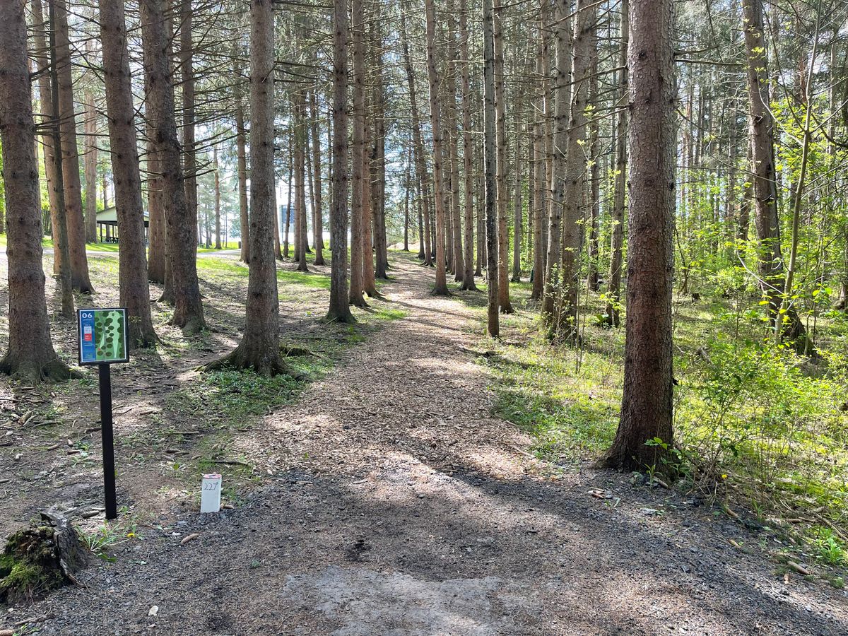 Hole 6 Long Tee