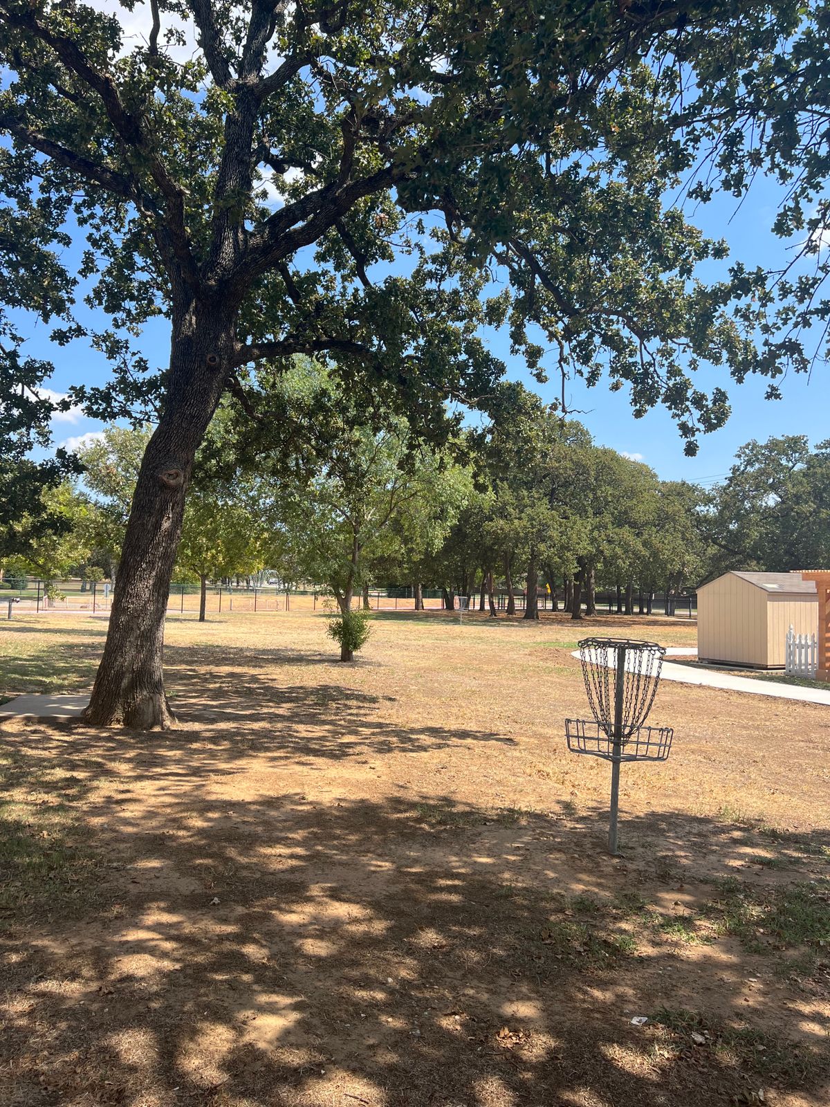 Second basket visible in the background.