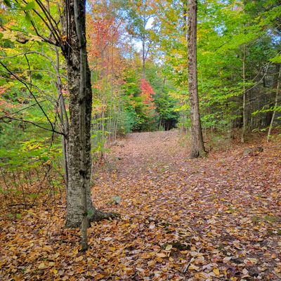 Hole 14 from the tee.