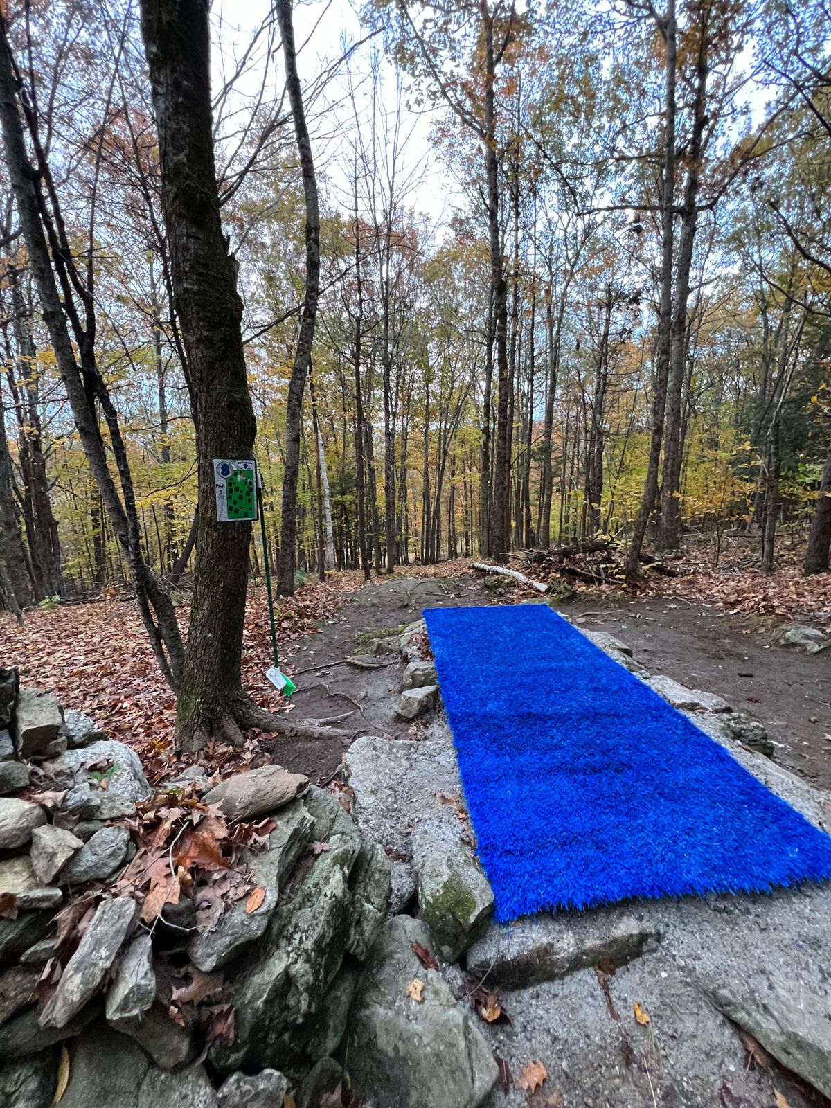 Hole 8