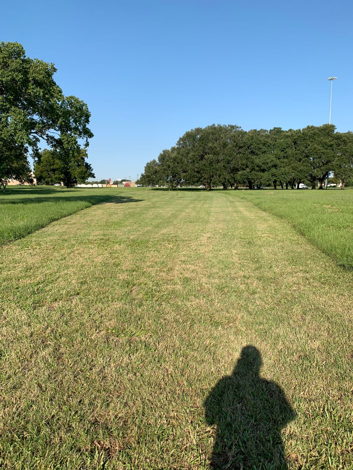 Hole 5
