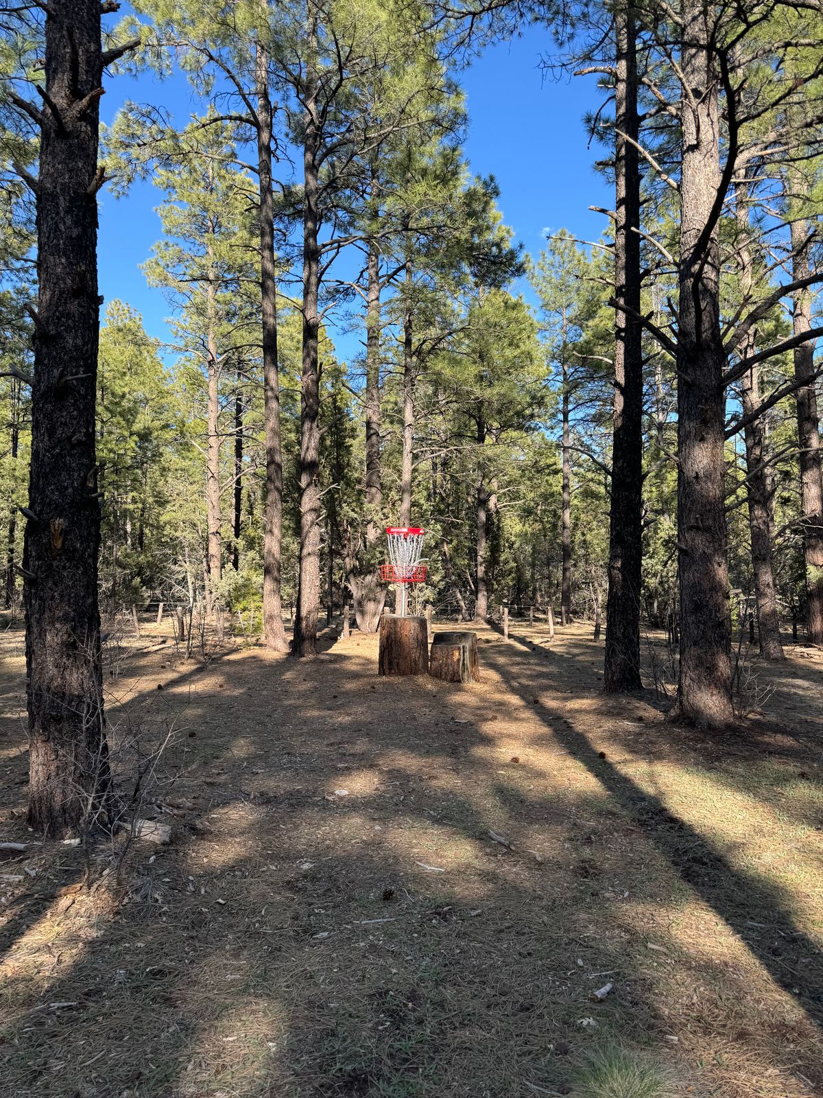 Hole 6 Green