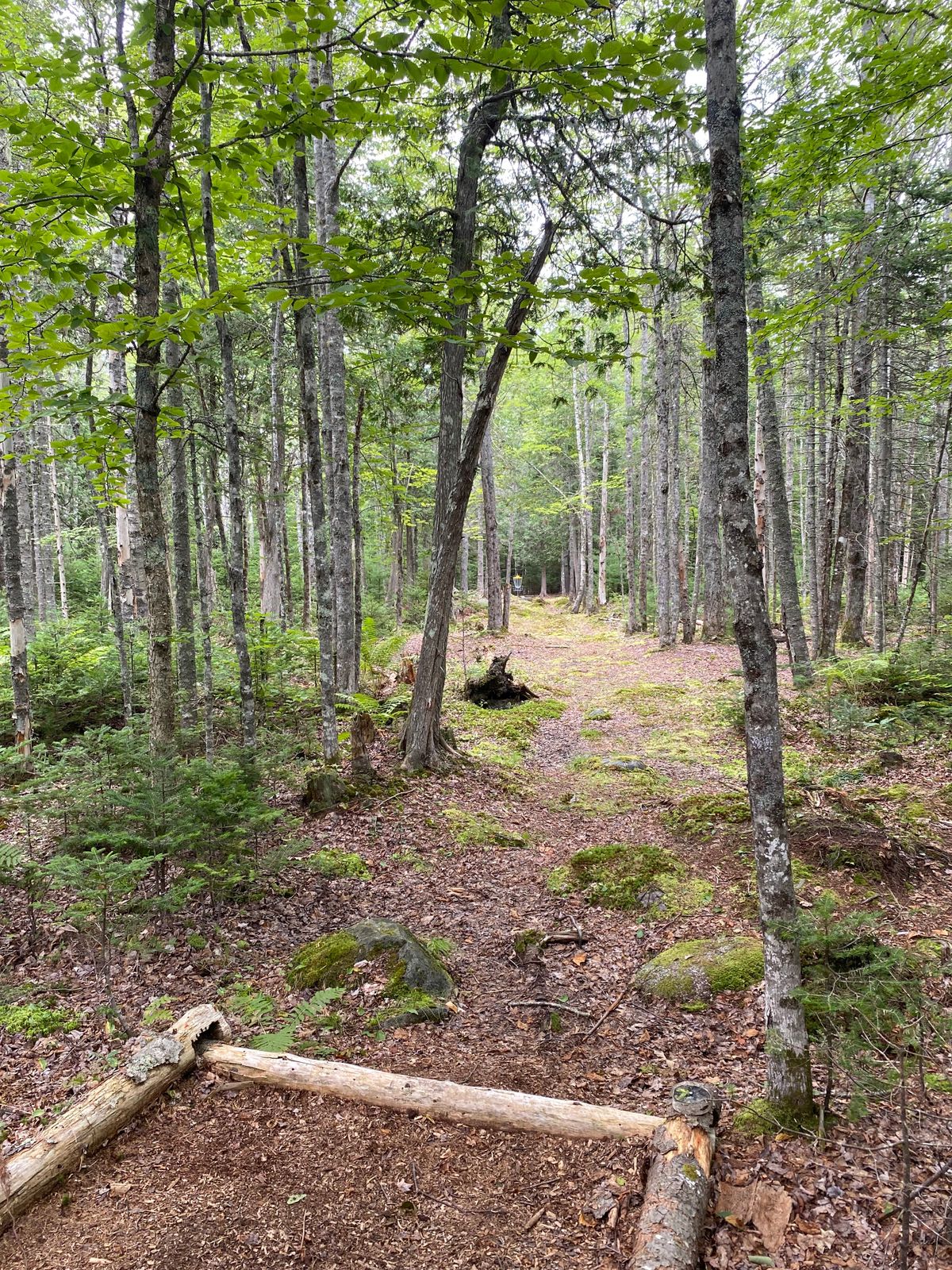 Hole 7