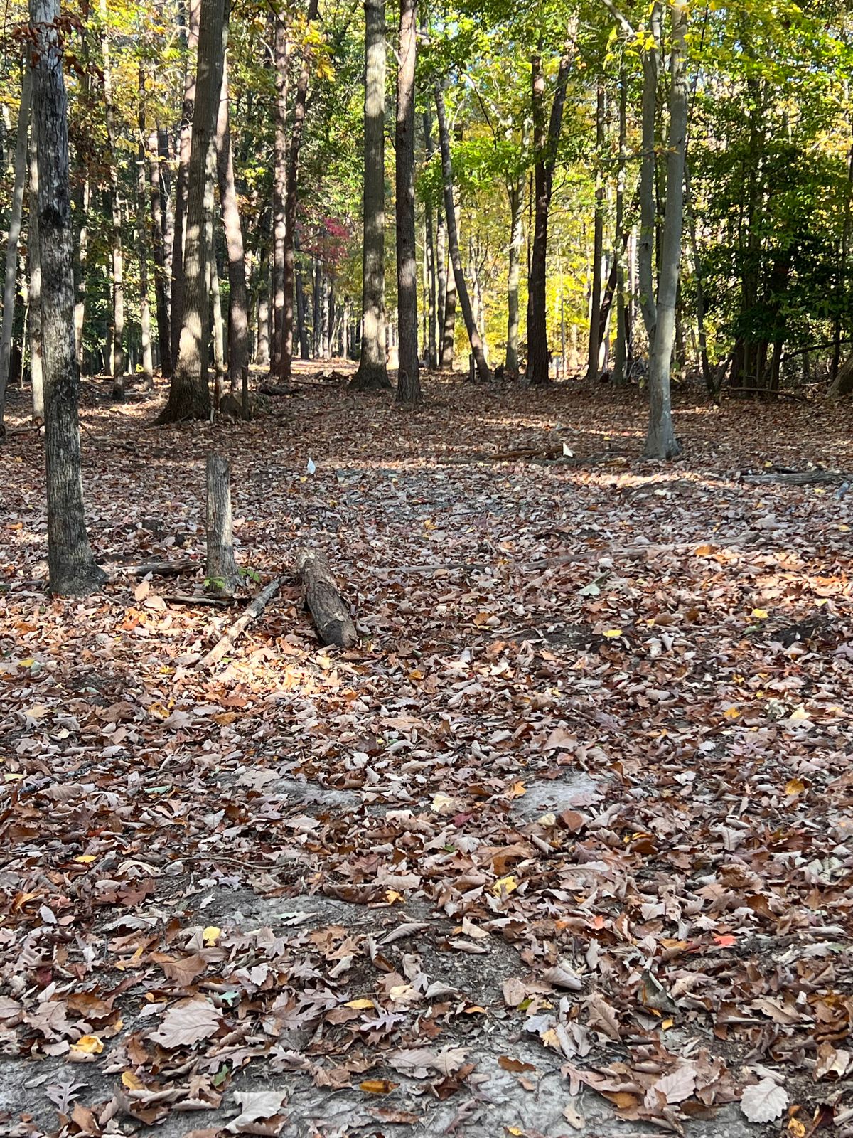 Hole 12