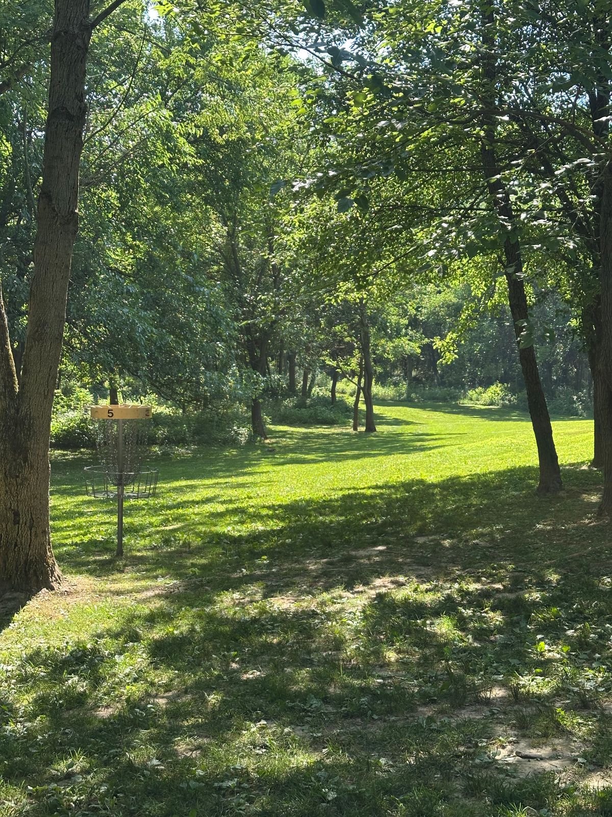 Looking back at hole fives fairway