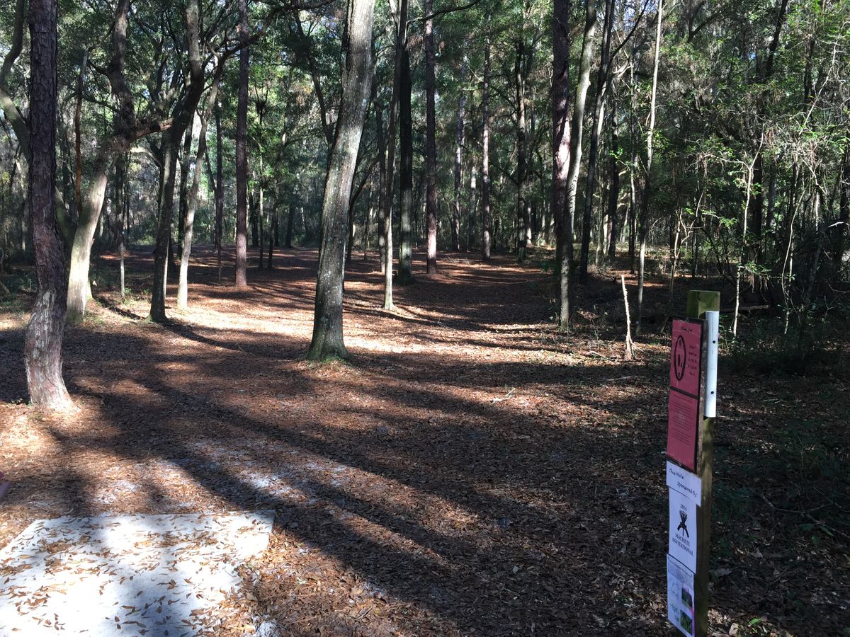 Hole 7