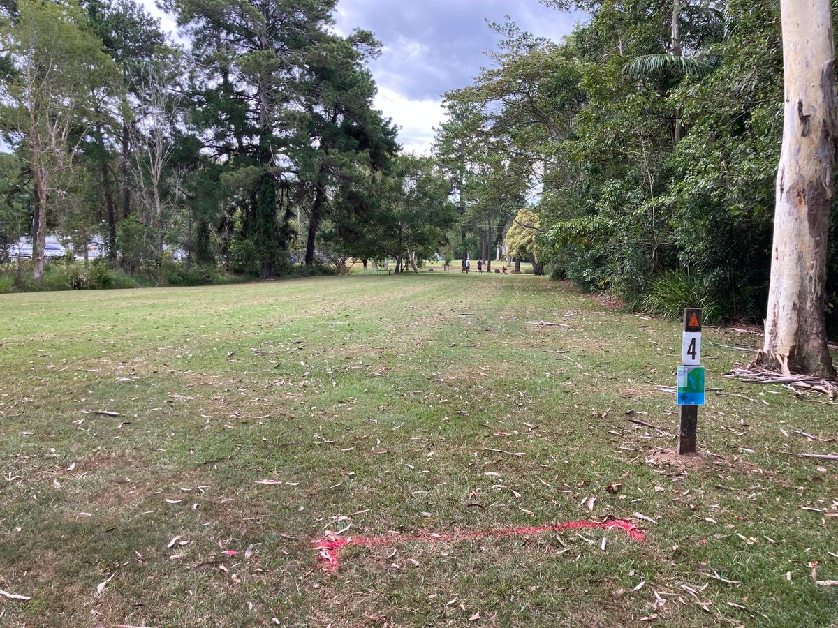 Hole 4 tee