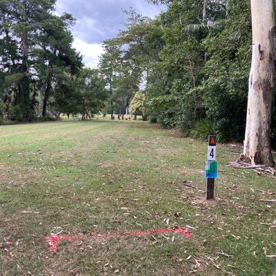 Hole 4 tee
