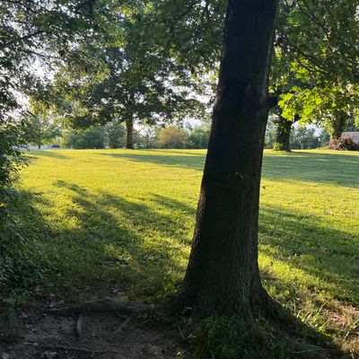 Hole 2