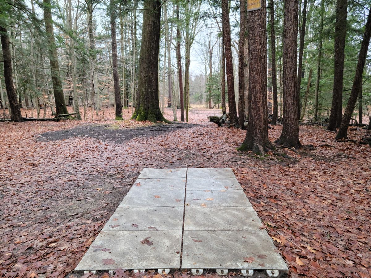 Hole 13 tee pad.