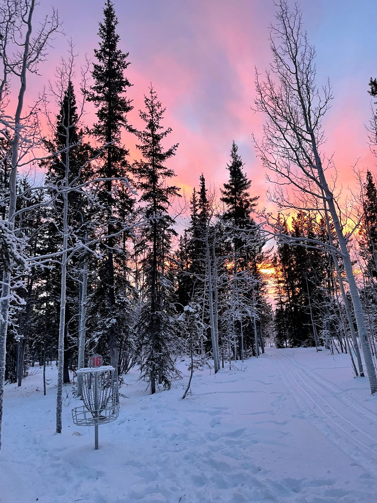 December sunset on Hole 16 at Golden Horn disc golf course. Set of beauty xski tracks on the right.