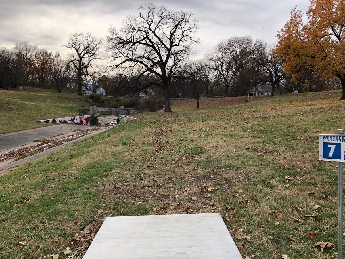 Hole 7, basket peeking around the tree