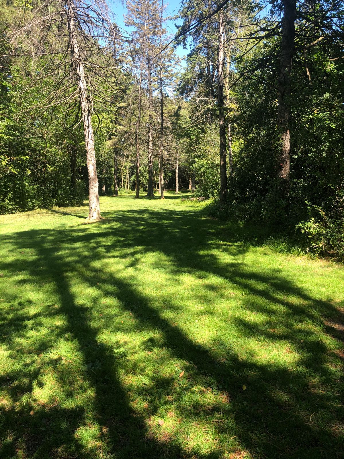 Hole 3
