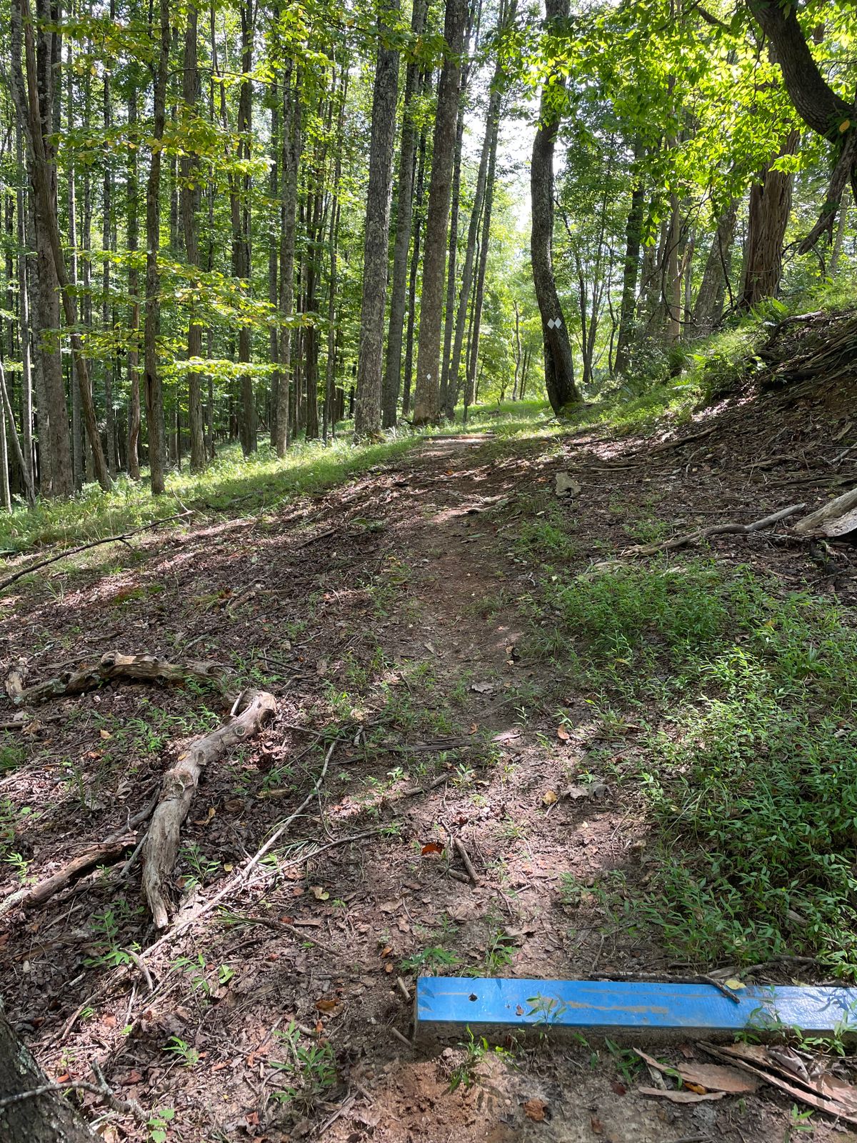 Blue tee box and fairway of hole 3.
