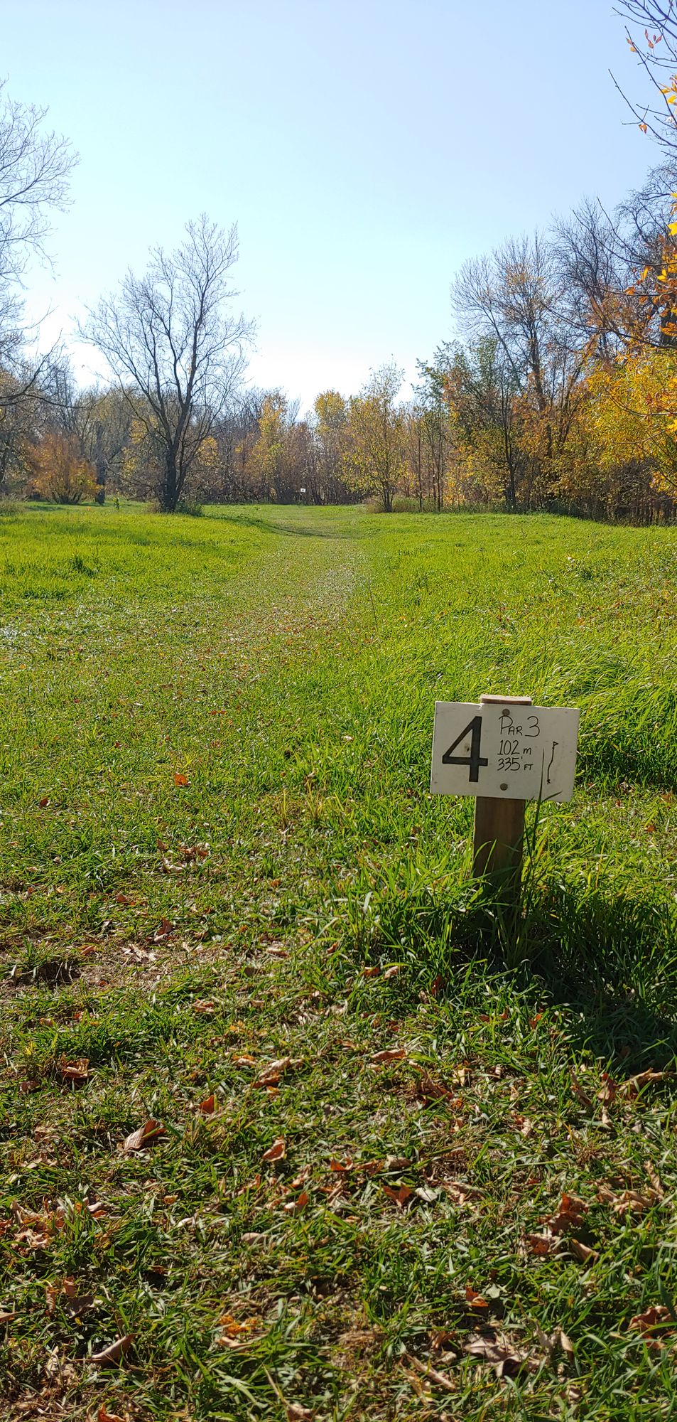 Fourth tee. Pin in the background.