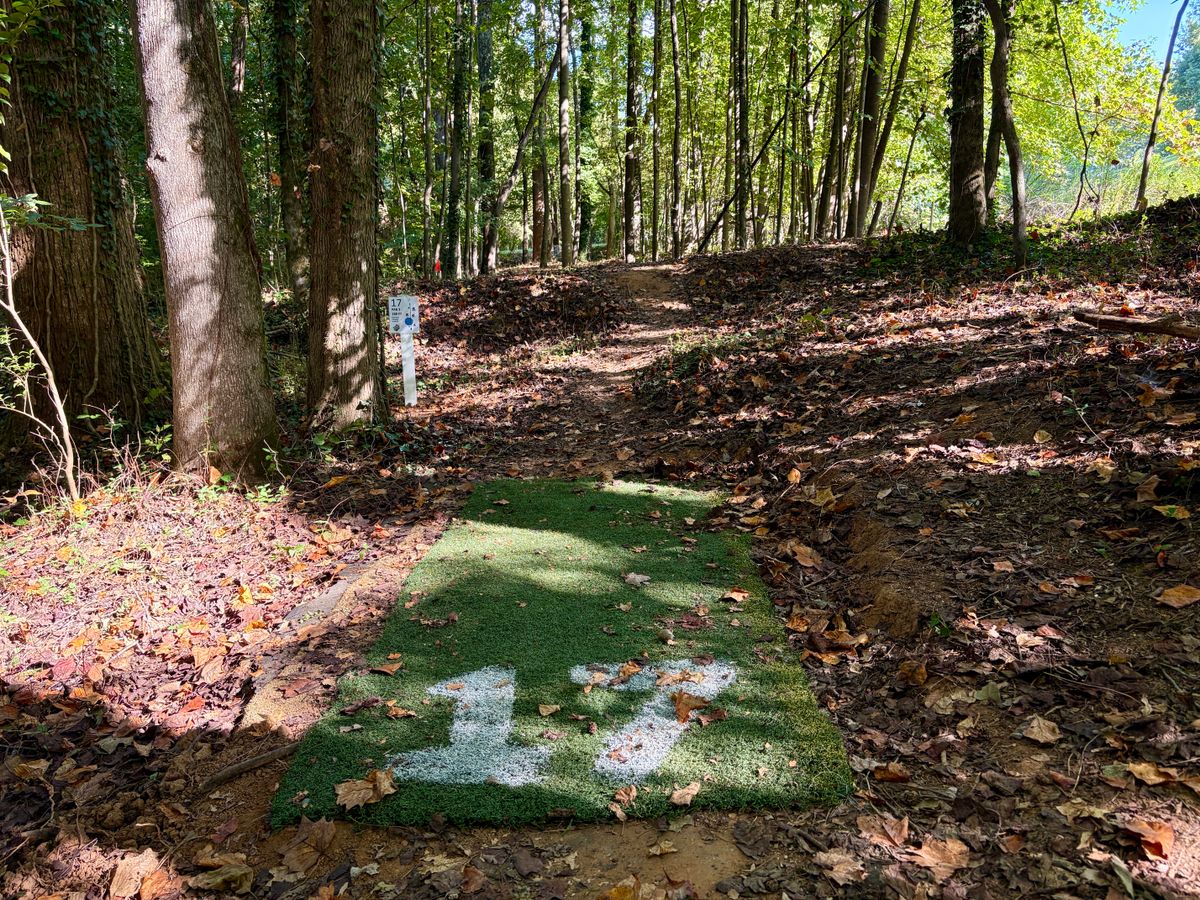 Hole 17 tee