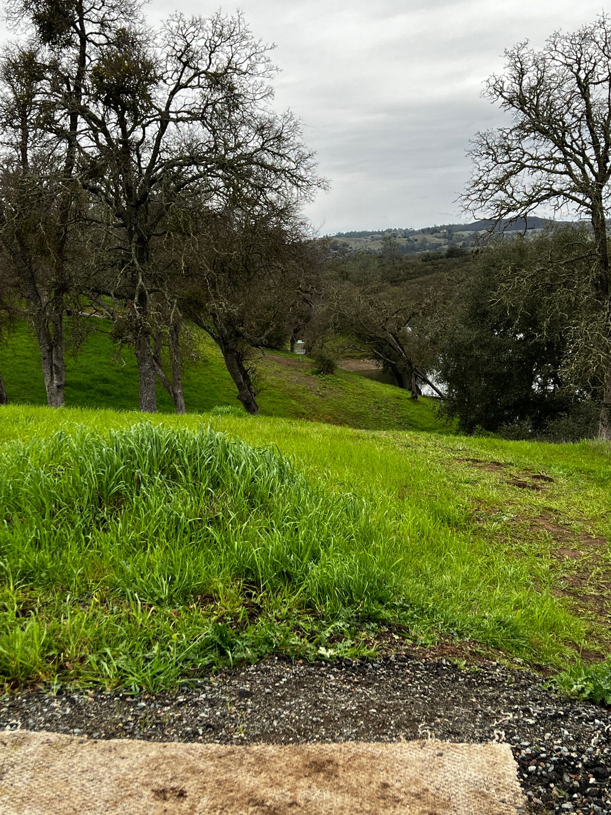 Hole 9
