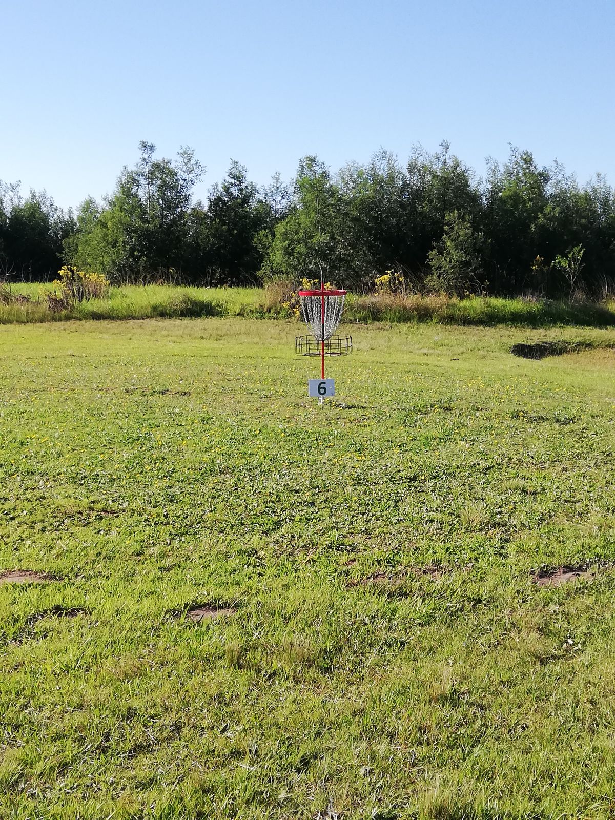 Hole 6 basket.