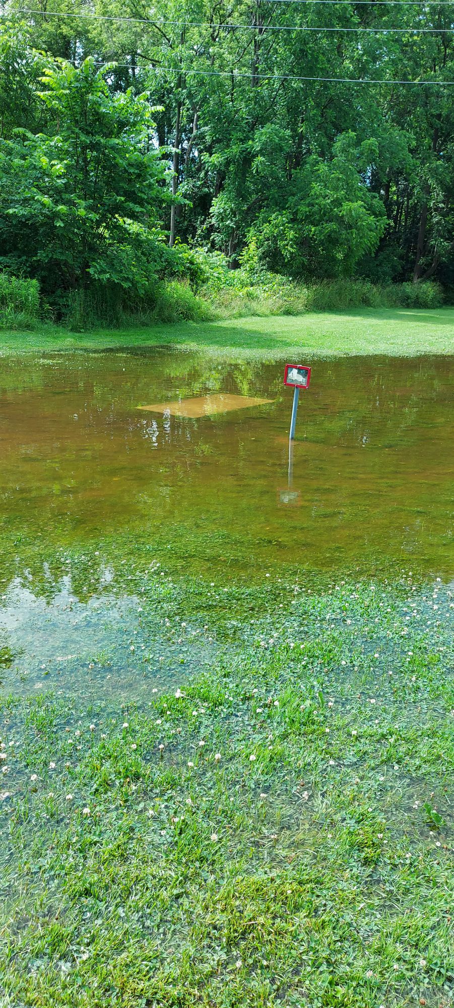 Flooded in low spots (June 27th)