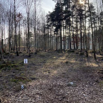 Course photo