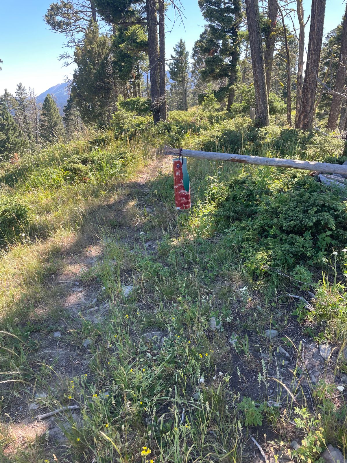 Pin on Hole 2