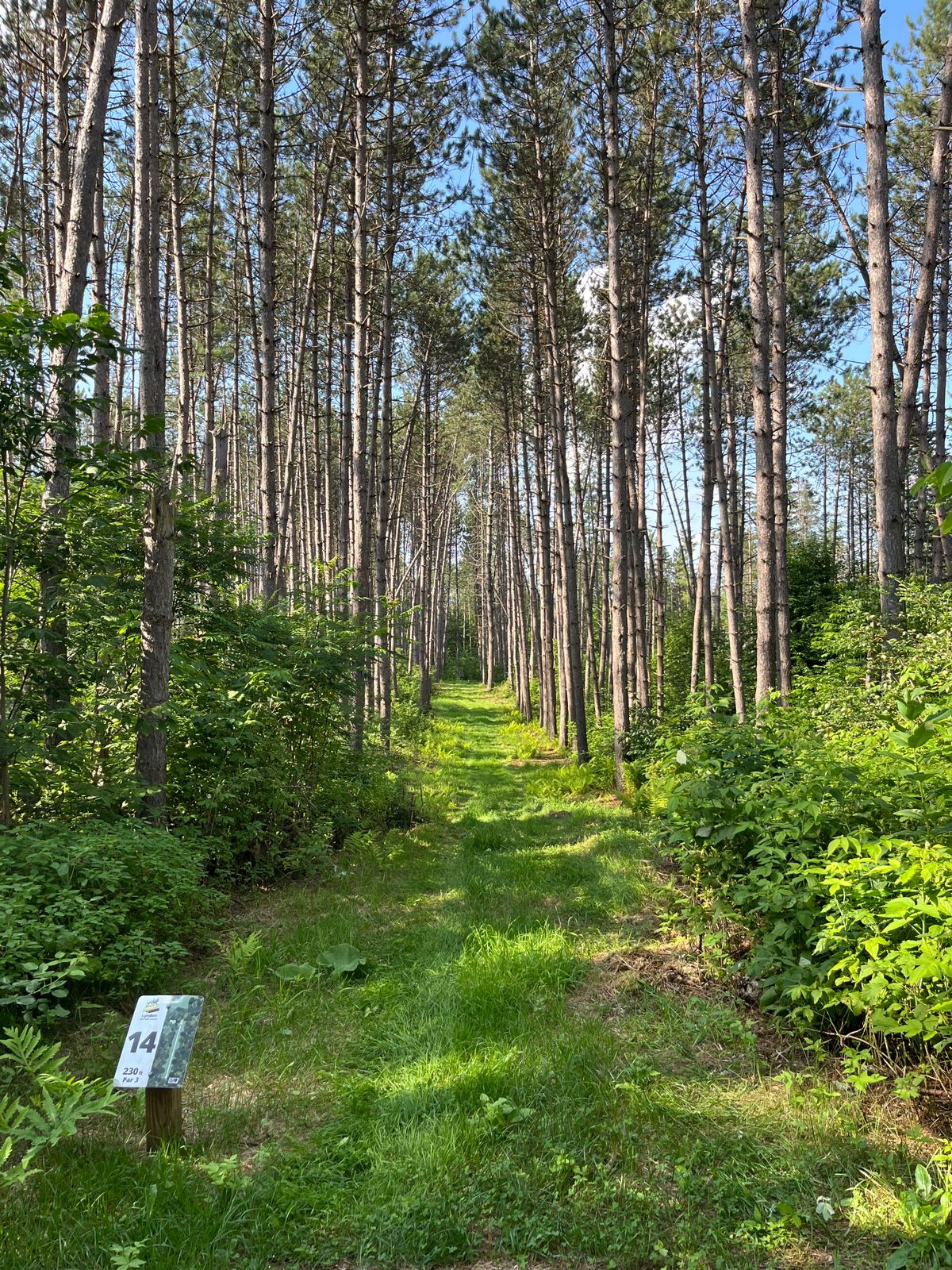 Beautiful wooded hole