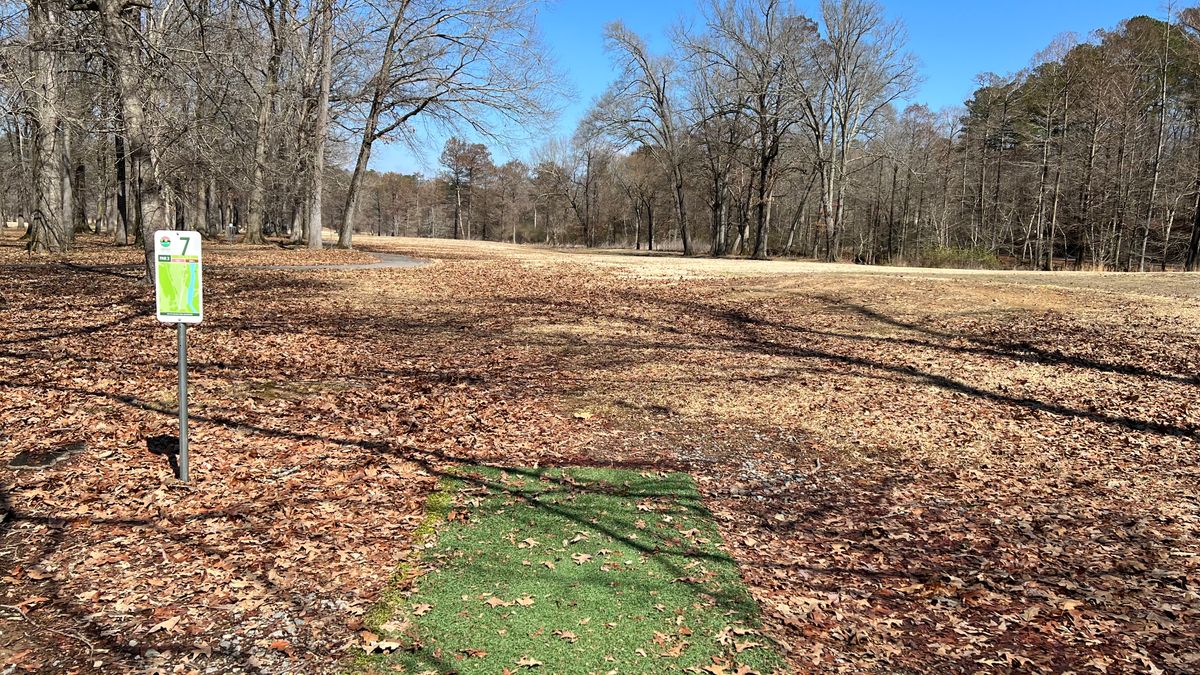 Hole 7