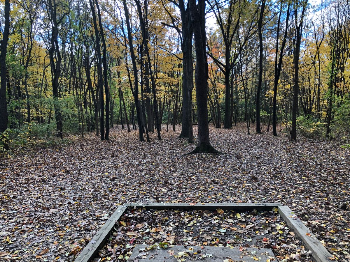 Hole 3 short teepad