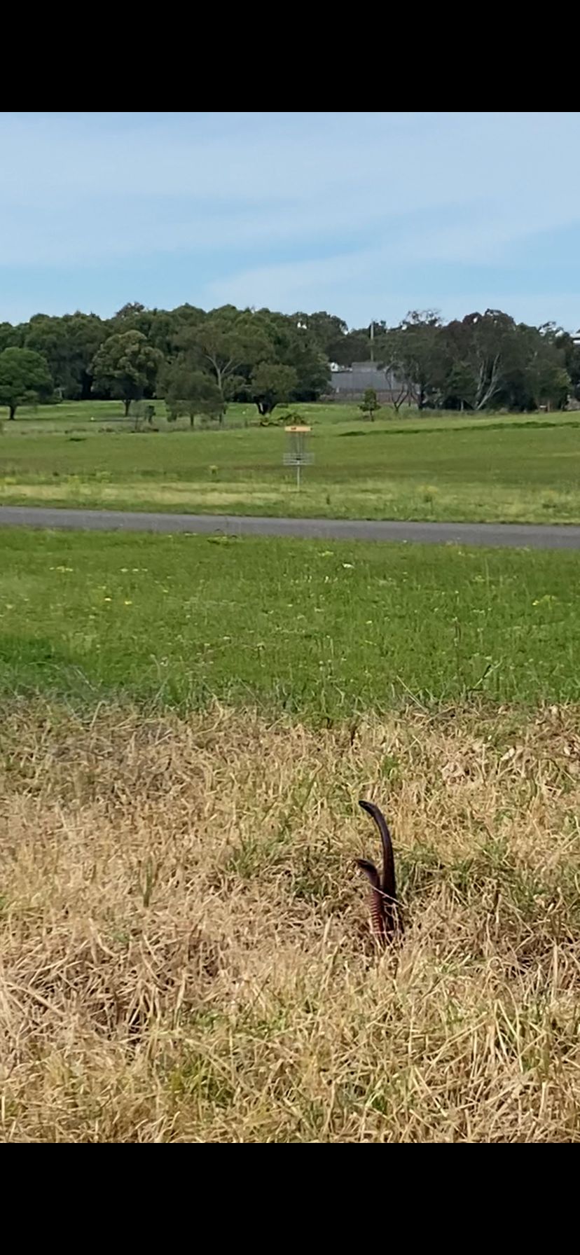 Watch out for locals