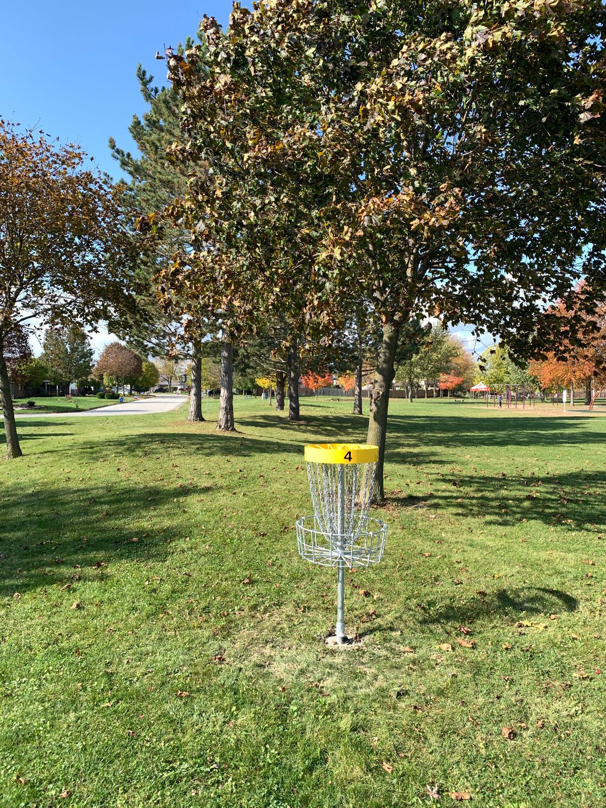 Hole 4 basket.