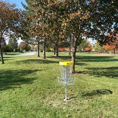 Hole 4 basket.