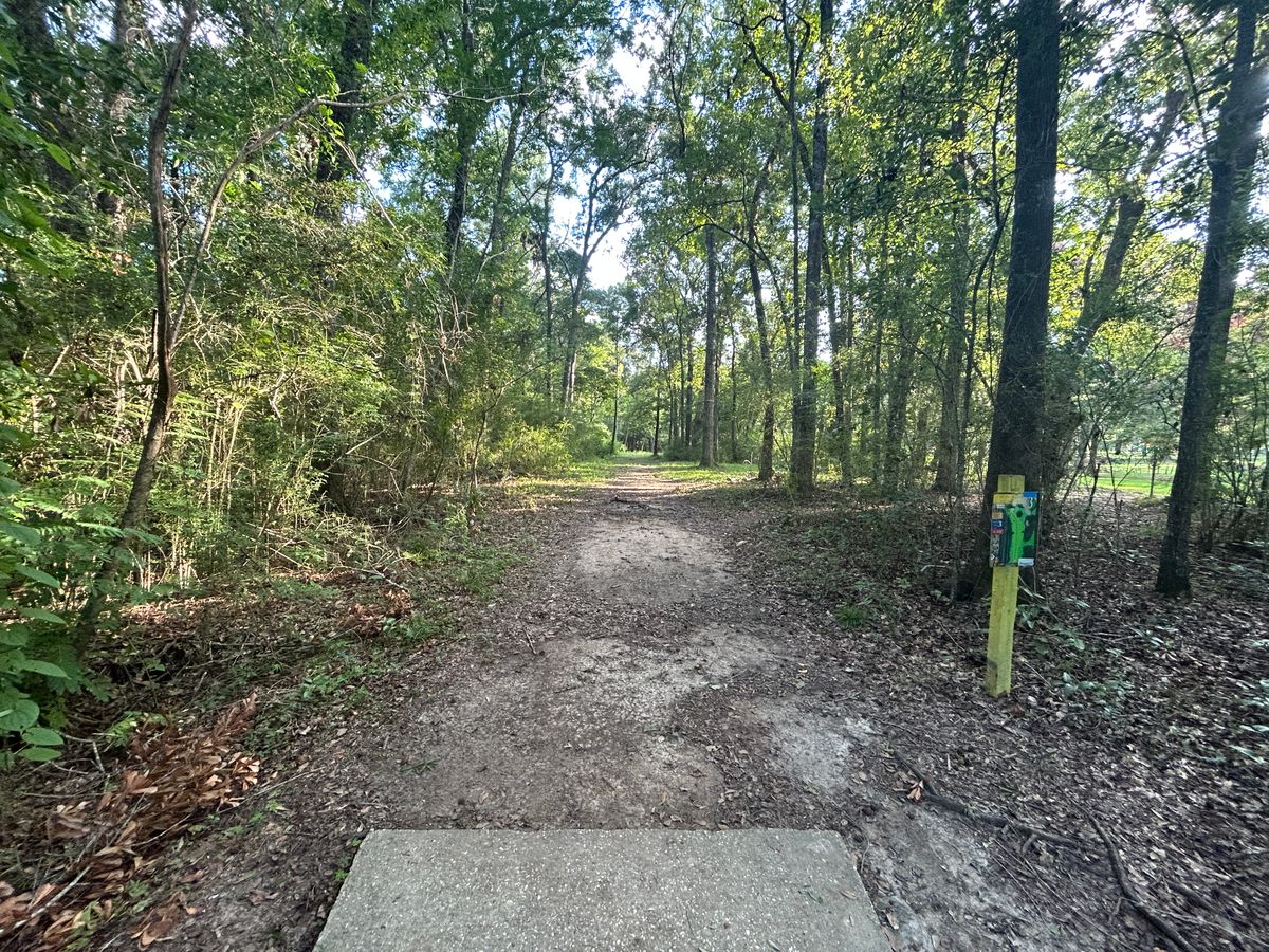 Hole 3 Fairway