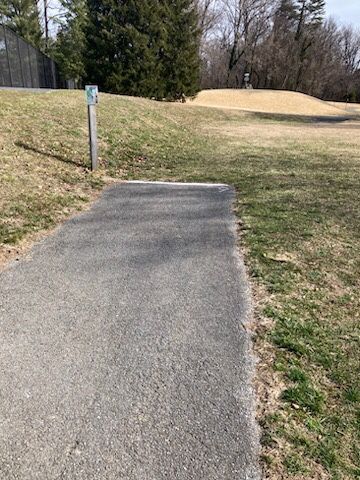 Hole 7 tee
