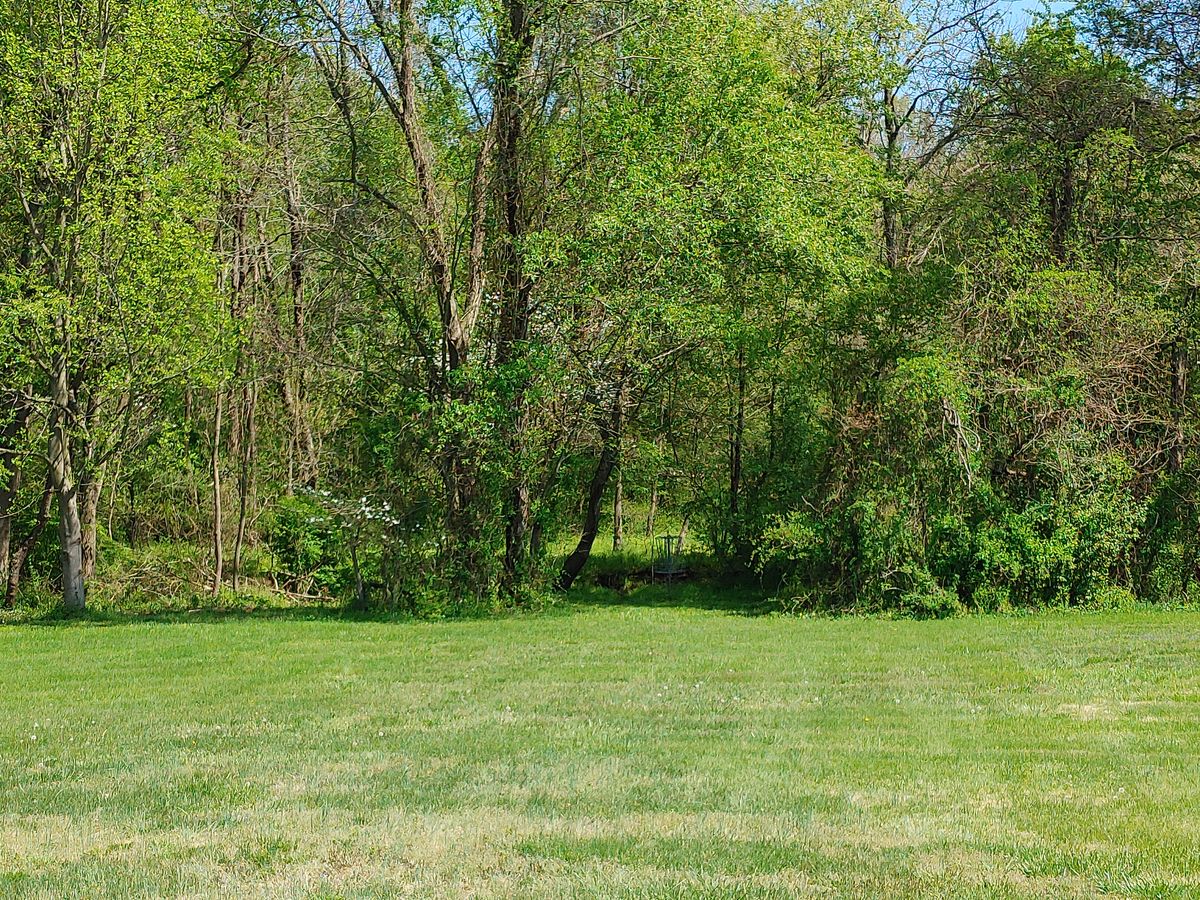 #3 tucked into the trees with a ditch behind the basket!  Go for it!!