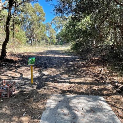 Hole 5 tee