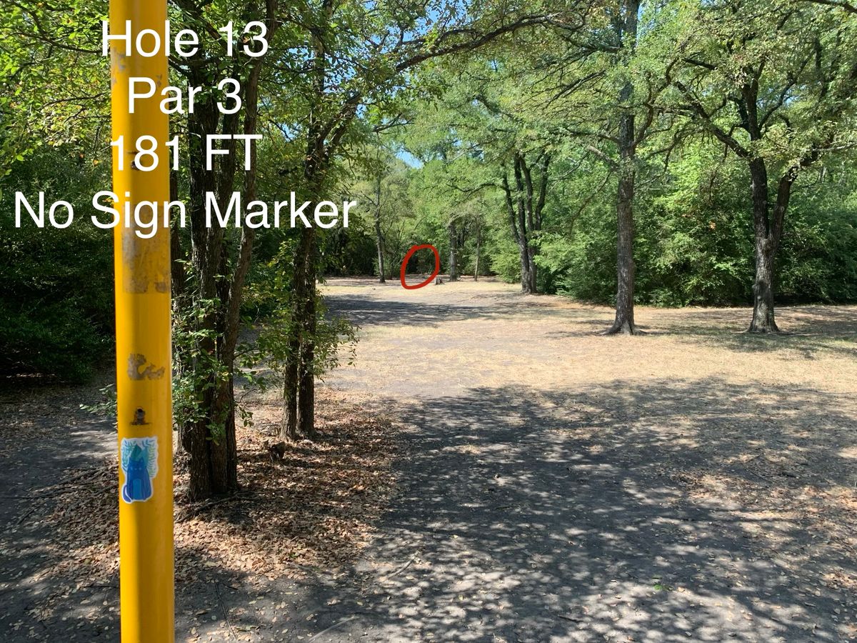 Hole 13. Blue Tee. 181 Feet.