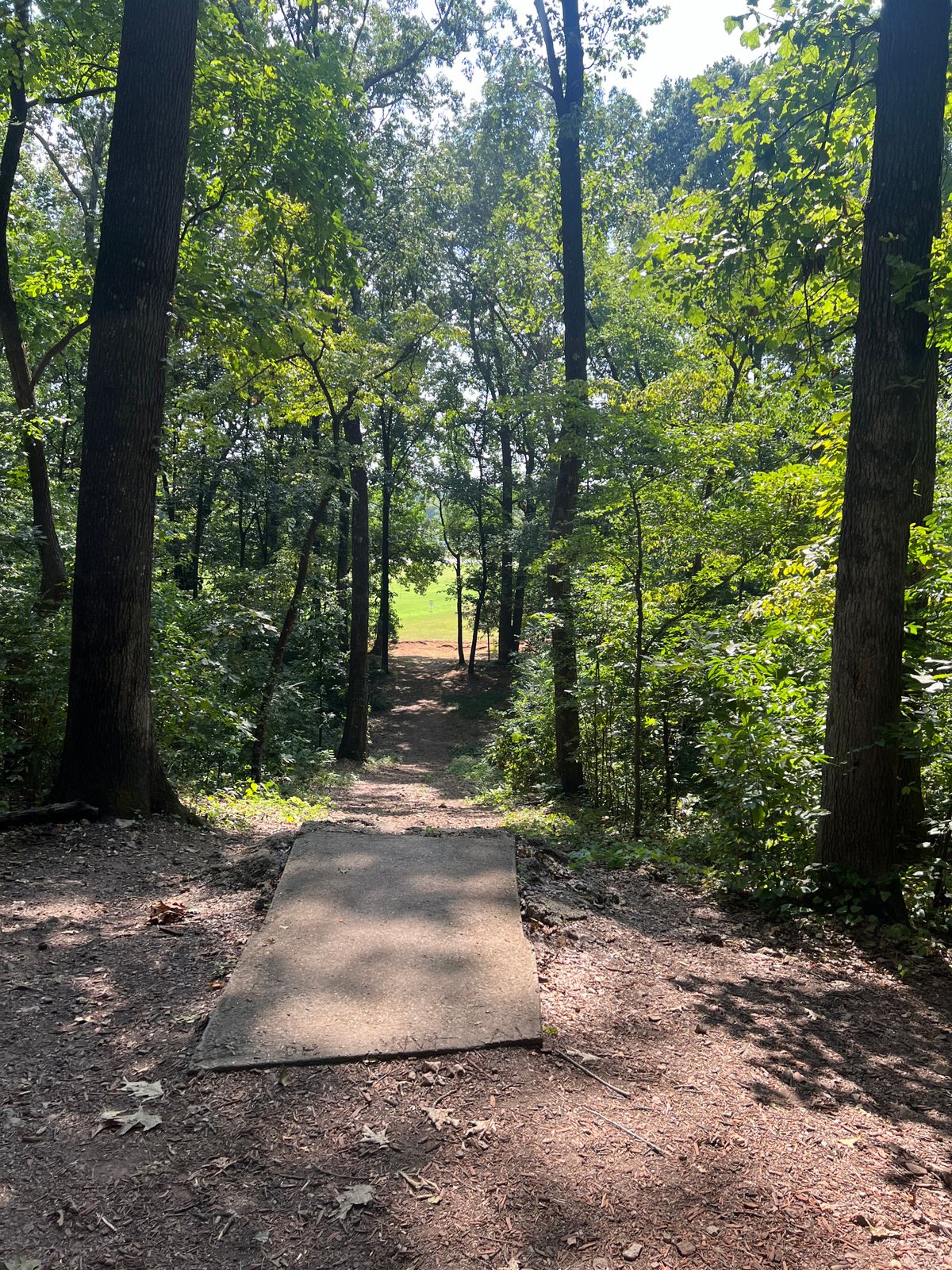 Epic Hole 17.  Downhill tunnel shot out into a field