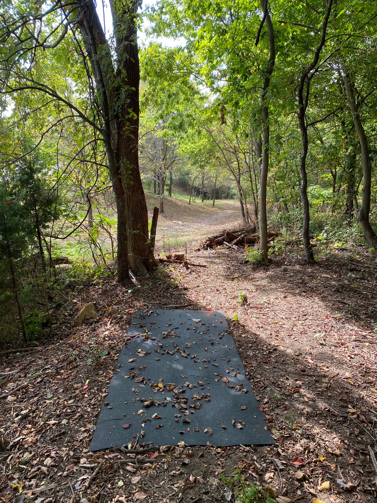 Hole 7 tee