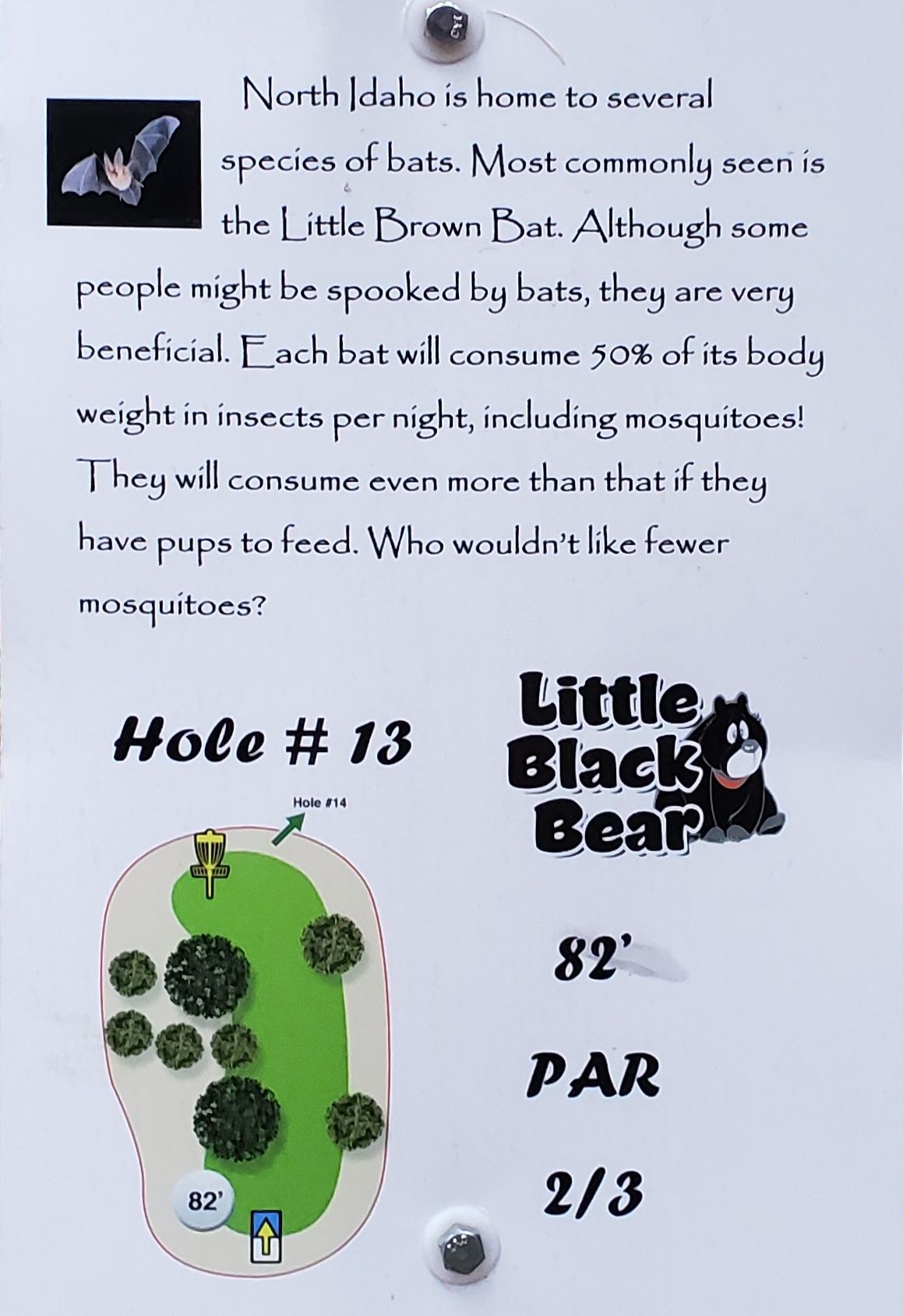 Tee sign hole 13