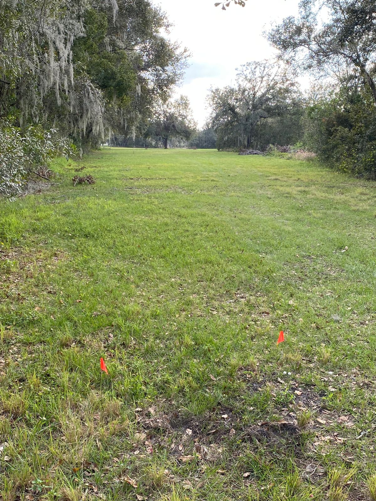 Hole 9 looking toward basket.